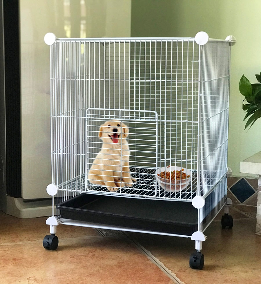 SOKOLTEC Aviary for dogs